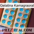 Kamagraoral Jelly new08